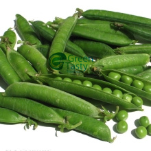 IQF Congelados Guisantes Verdes Vegetales